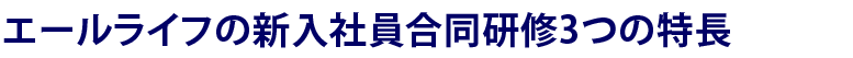 エールライフの新入社員合同研修3つの特長